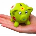 budget basics
