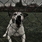 save money on home security systems