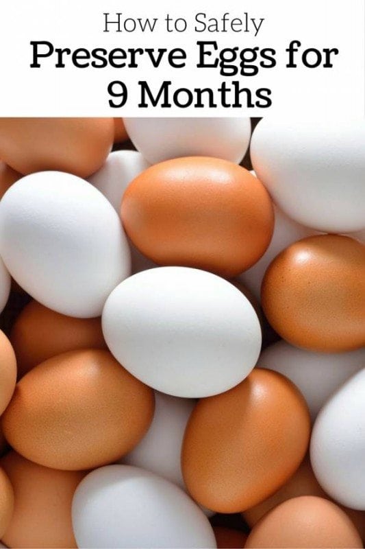 Preserving Fresh Eggs For Up To 9 Months! - YouTube