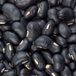 black bean soup recipe