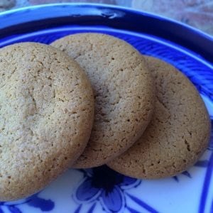 homemade ginger snaps