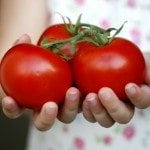 tomato sandwich recipe