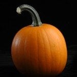 pumpkin dessert ideas