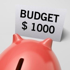 household budget benefits