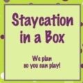 what to do on a stay cation