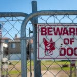 simple home security tips