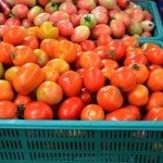 canning veggies and fruits to save money