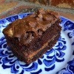 turtle cake recipe