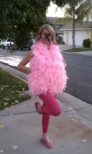 diy flamingo costume