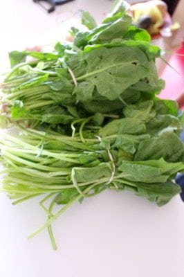 Healthy Spinach