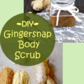 My Gingersnap Body Scrub is perfect for holiday gift giving combining the scents of the season with nourishing oils and exfoliating sugar and salt. How easy is that? Make it up in big batches and put it in pretty jars and wait for the “oohs and ahhs” to roll in.