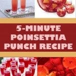 Save up on money for a party by making this easy 5-minute Poinsettia Punch. Your guests will never know how you made such a delicious drink for a cheap price.