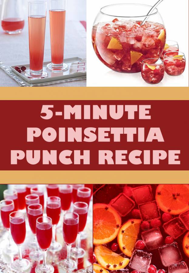 Save up on money for a party by making this easy 5-minute Poinsettia Punch. Your guests will never know how you made such a delicious drink for a cheap price.