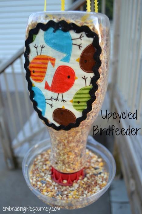 bird feeder