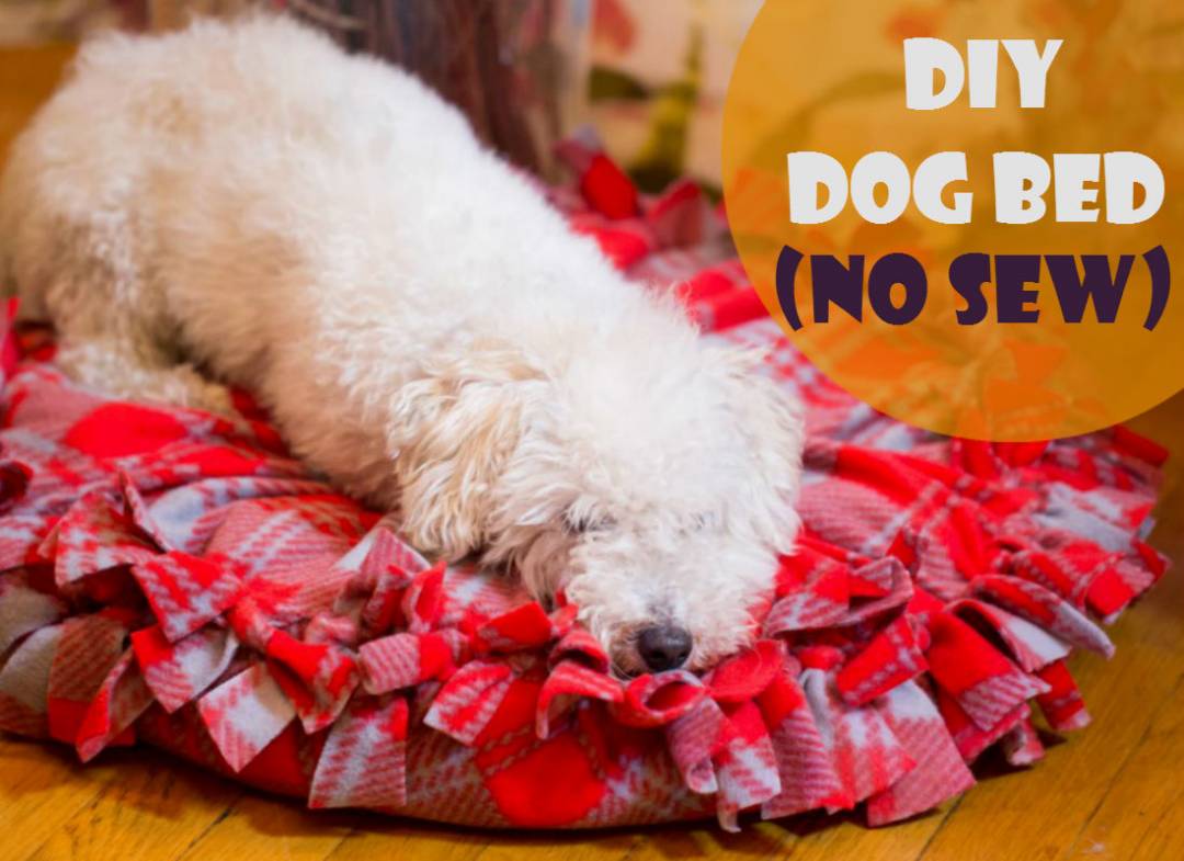 A no-sew dog bed to keep your pet warm and comfy. Express your love for your dog with this simple DIY project!