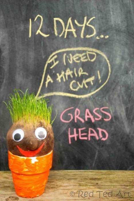 grass heads