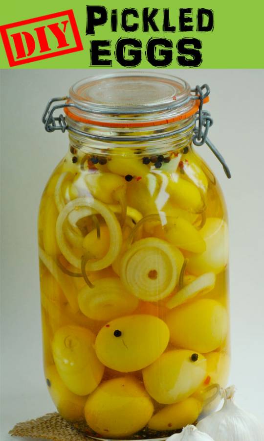 pickled eggs