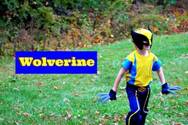 wolverine