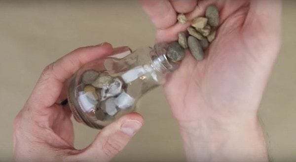 diy light bulb terrarium