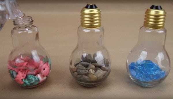 diy light bulb terrarium