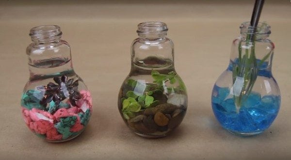 diy light bulb terrarium