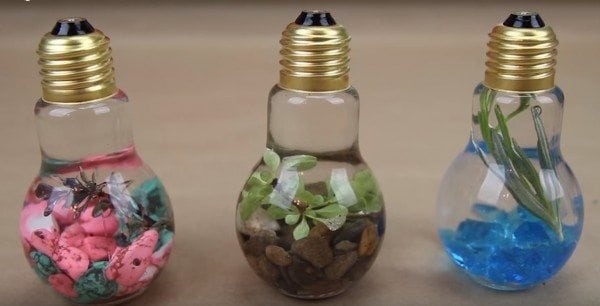 diy light bulb terrarium