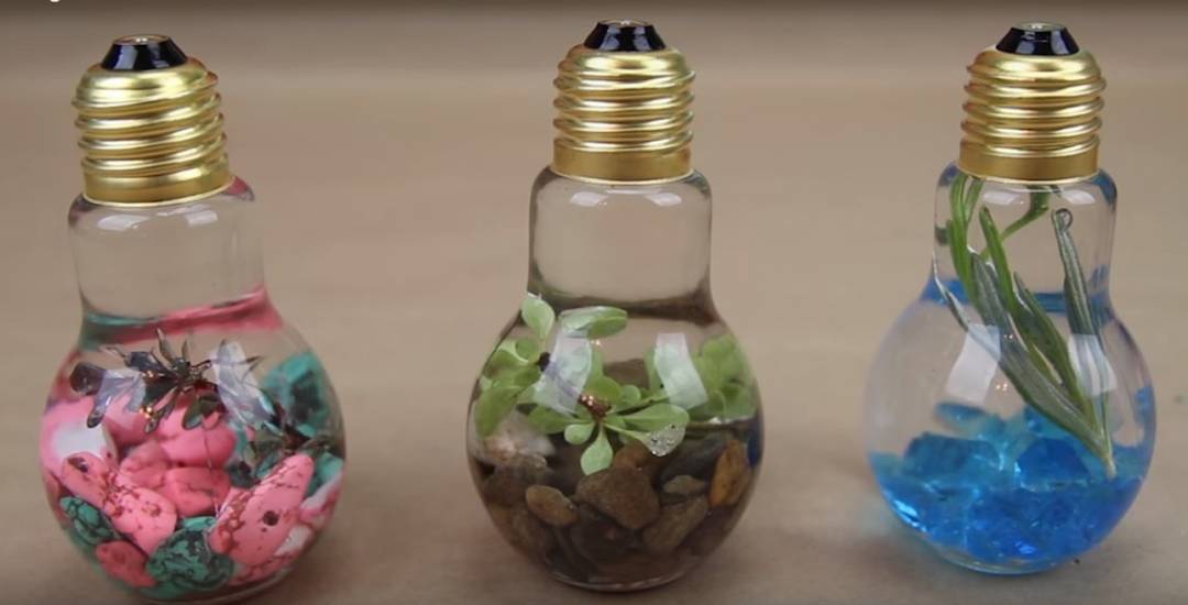 DIY Light Bulb Terrarium: An Enlightening DIY Project You Can Make in