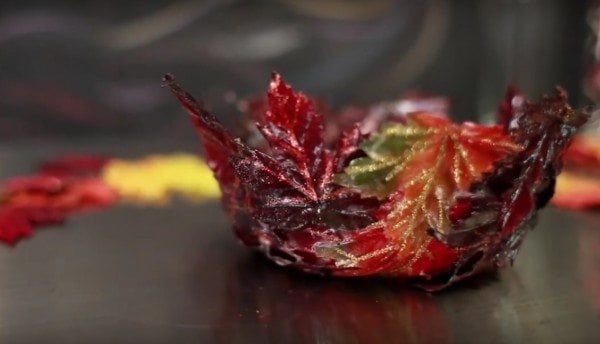 diy fall leaf bowl