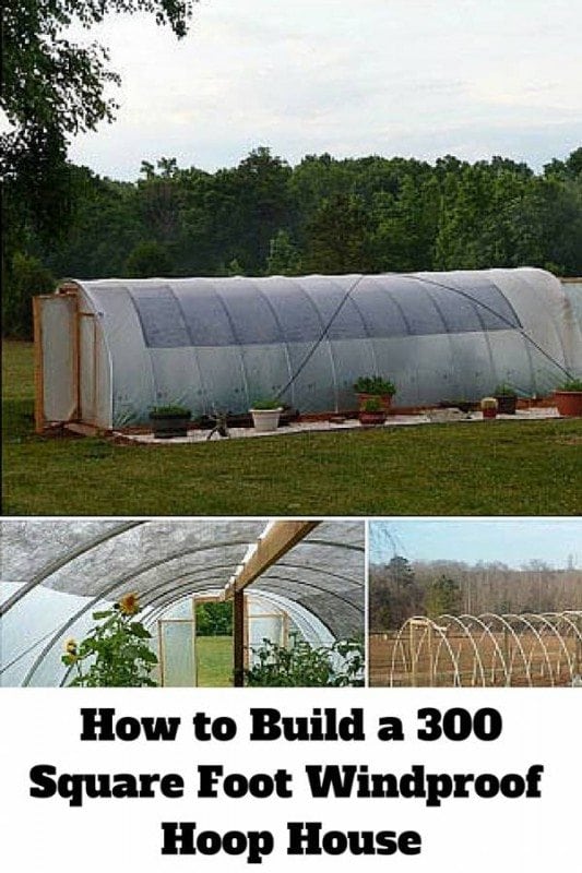 Build your own 300-square foot greenhouse to grow crops all year long. A sturdy and reliable house to protect your delicate plants.