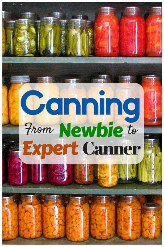 Canning is a safe and effective way to prolong the life of food stuffs. It also adds a delicious twist in taste of common food.