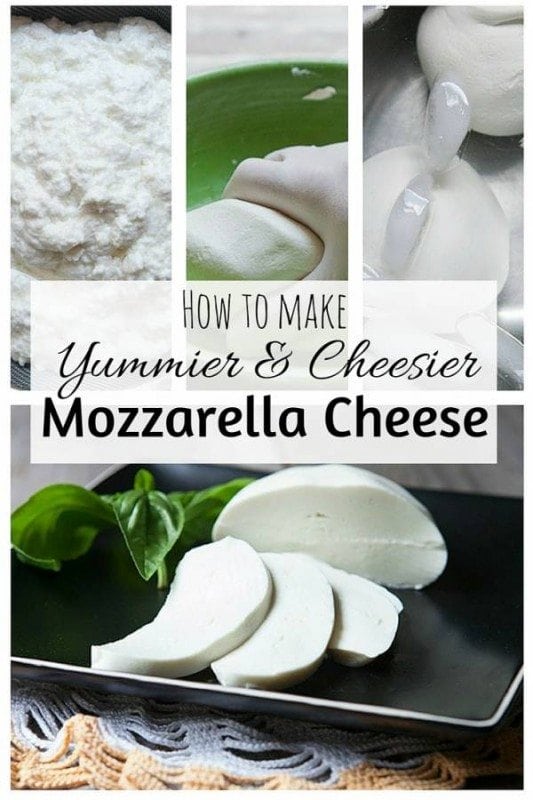 With basic tools and ingredients, you can make your own mozzarella cheese in less than an hour. It's fun to make and definitely saves you money.