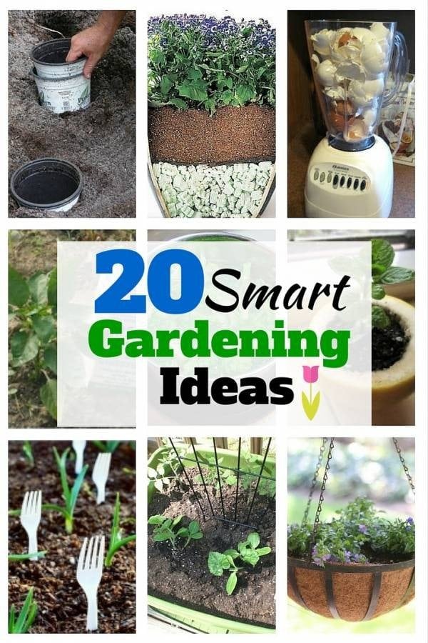 If you are in a tight budget, try these smart gardening tips and ideas. Get your garden ready for spring.