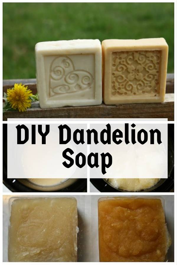 DIY Dandelion Soap The Budget Diet