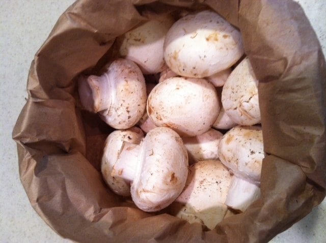 mushroom in bag photo