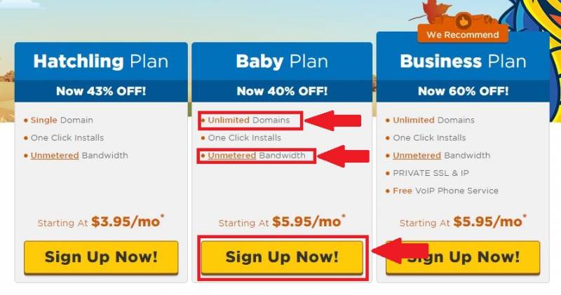 Choosing the best plan is essential to determine the success of your blog. Baby Plan is recommended for beginners.