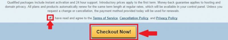 Don't forget to agree with the Terms of Service of HostGator before hitting that Checkout Now! button.