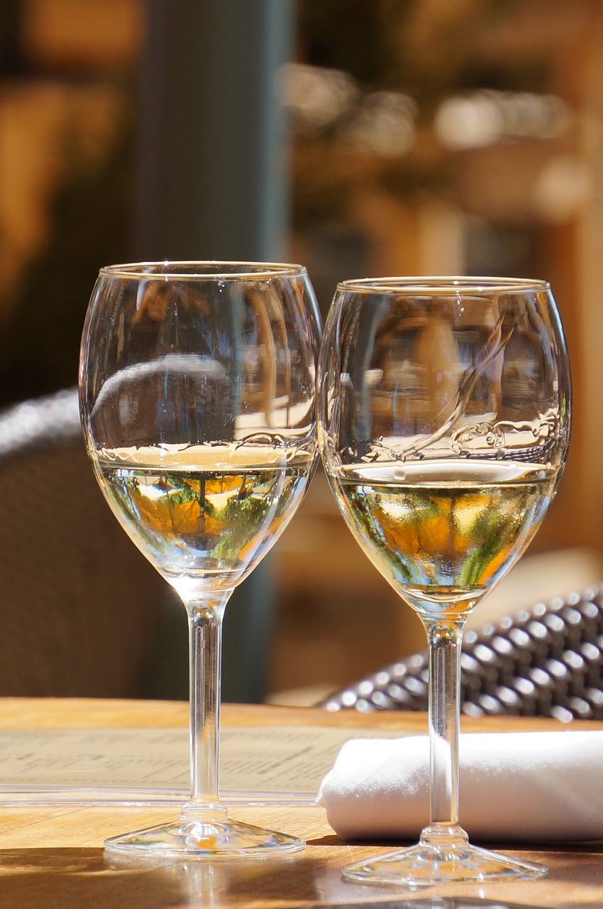 White wine is a perfect pair to oysters that the two of your will surely love.