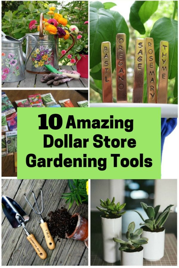 10 Amazing Dollar Store Gardening Tools The Budget Diet