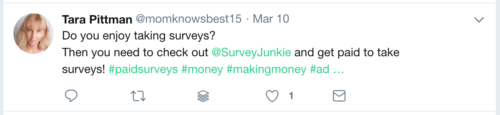 SurveyJunkie 01