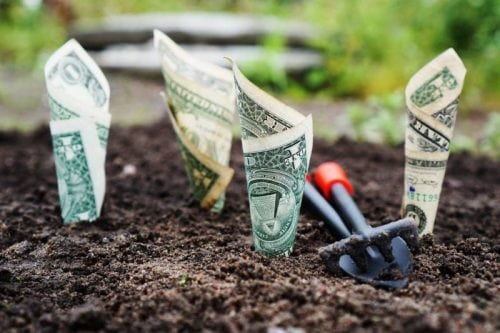 money investment in ground