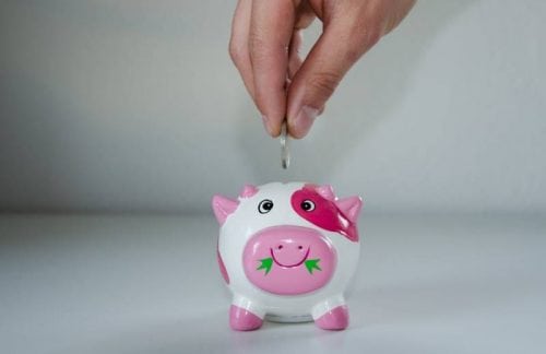 piggy bank