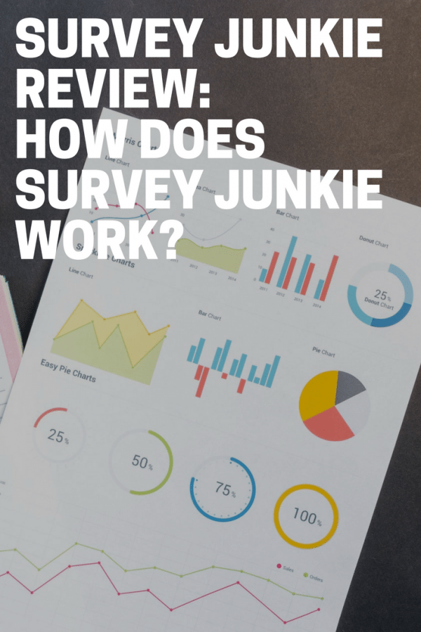 Survey Junkie Review: How Does Survey Junkie Work?