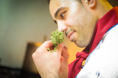 Chef smelling herbs, possibly parsley