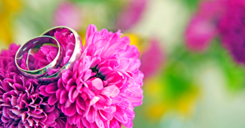 Flower holding wedding rings