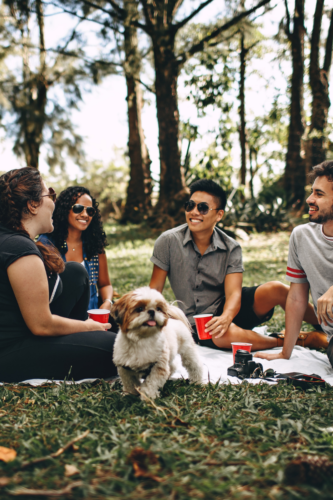 A group of people sitting in a park deciding between an airbnb vs hostel