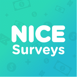 NiceSurveys logo