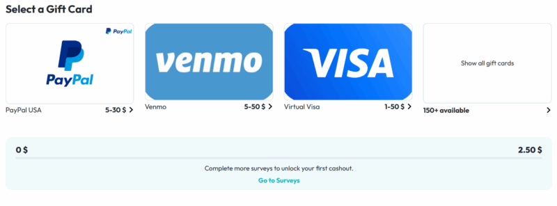 NiceSurveys cash out