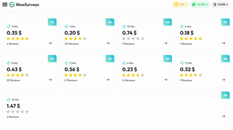 NiceSurveys surveys
